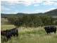 Hirstglen QLD 4359
