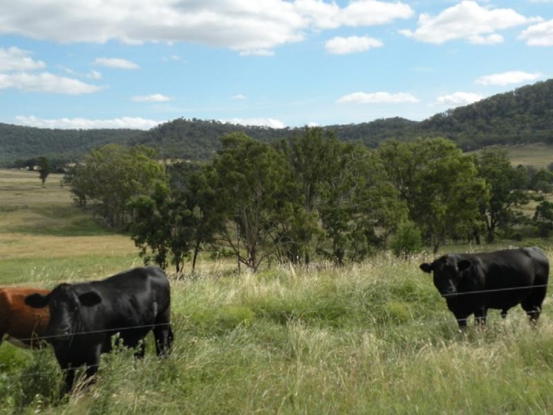 Hirstglen QLD 4359