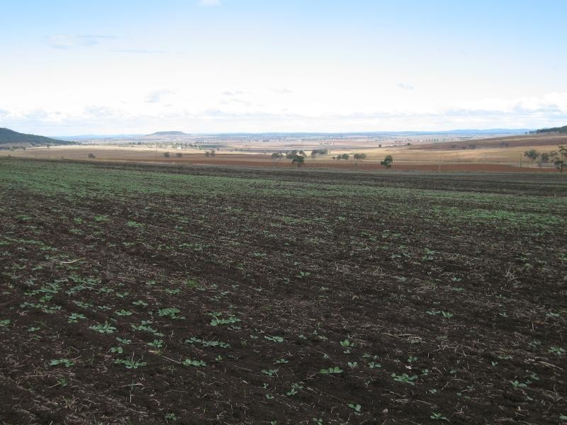 Lot 5 Moar Road, Pilton QLD 4361