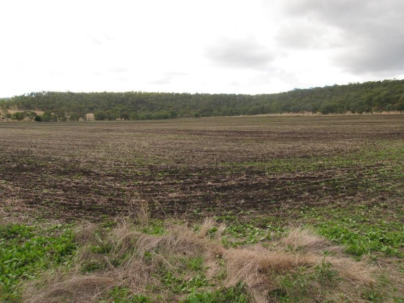 Lot 5 Moar Road, Pilton QLD 4361