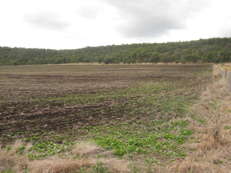 Lot 5 Moar Road, Pilton QLD 4361