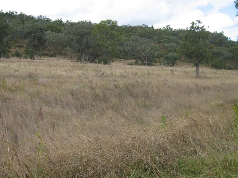 Lot 5 Moar Road, Pilton QLD 4361