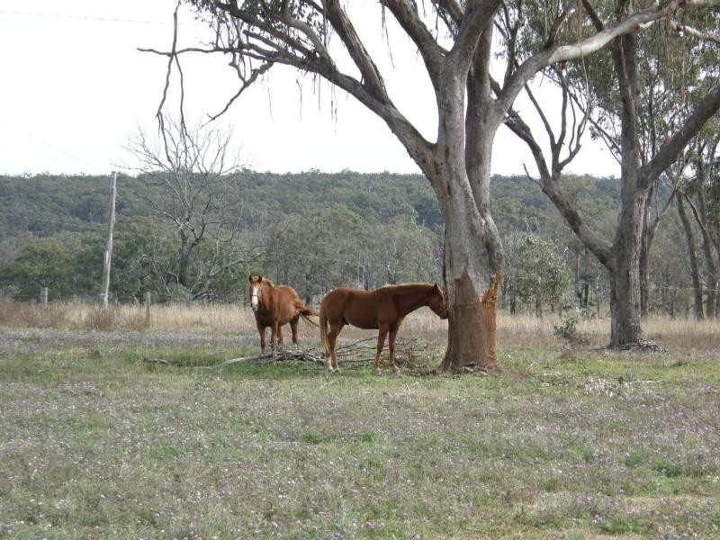 13 Colemans Road, Goombungee QLD 4354