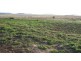 Lot 4/ Free Street, Nobby QLD 4360