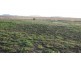 Lot 4/ Free Street, Nobby QLD 4360