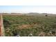 Lot 4/ Free Street, Nobby QLD 4360