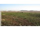 Lot 5/ Free Street, Nobby QLD 4360