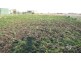Lot 5/ Free Street, Nobby QLD 4360