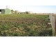 Lot 5/ Free Street, Nobby QLD 4360