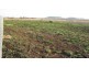 Lot 5/ Free Street, Nobby QLD 4360