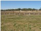 Biddeston QLD 4401