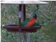 Crows Nest QLD 4355