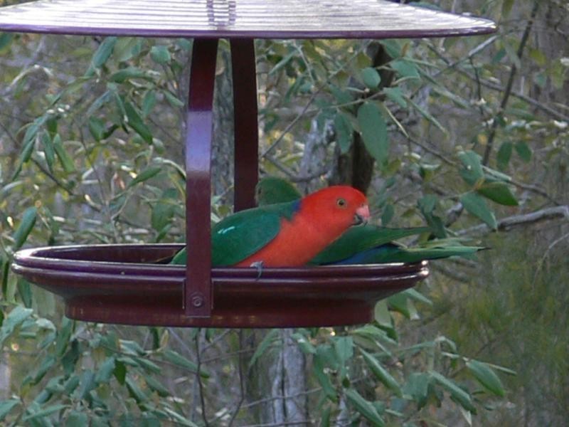 Crows Nest QLD 4355