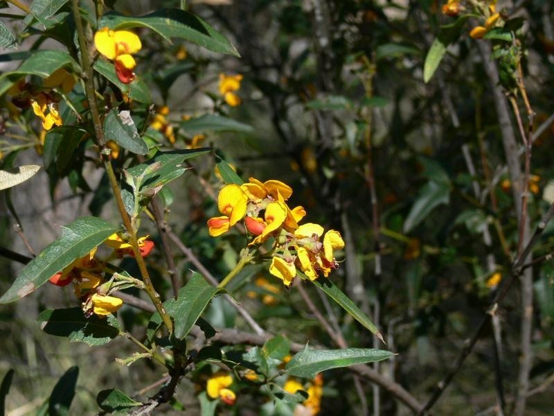 Crows Nest QLD 4355