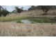 977 Pilton Valley Road, Toowoomba QLD 4350