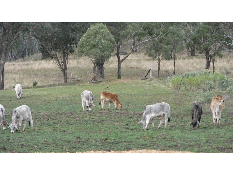 977 Pilton Valley Road, Toowoomba QLD 4350