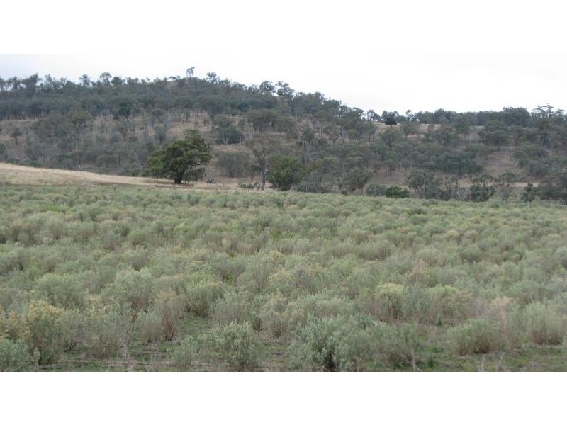 977 Pilton Valley Road, Toowoomba QLD 4350