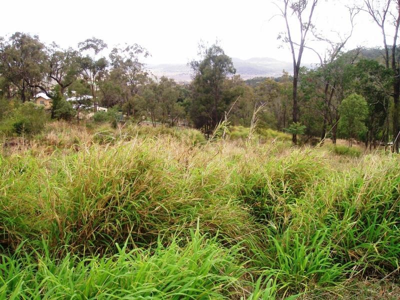 10 Phalaris Court, Meringandan QLD 4352