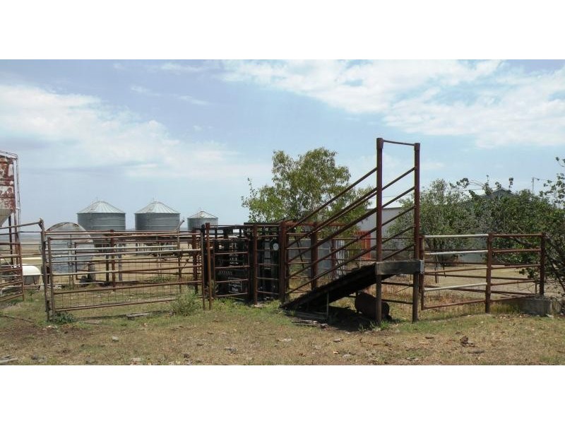 Nobby QLD 4360