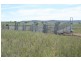 Nobby QLD 4360