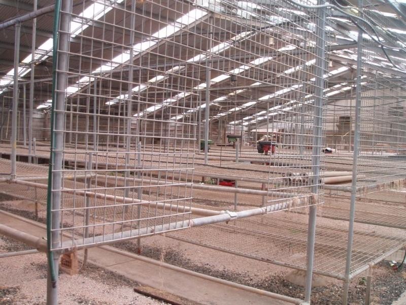 21 Darling Street, Toowoomba QLD 4350