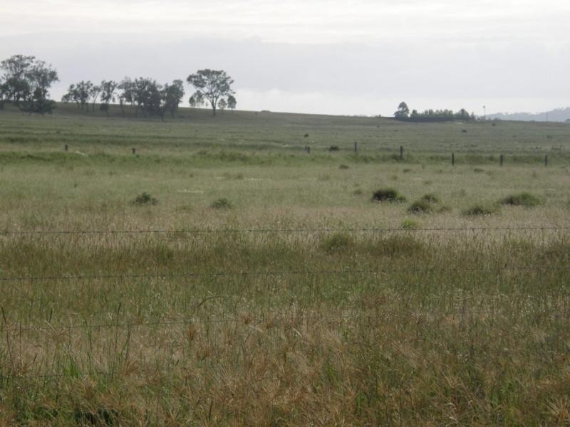 Back Plains QLD 4361