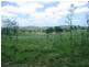 Crows Nest QLD 4355