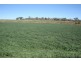 Biddeston QLD 4401