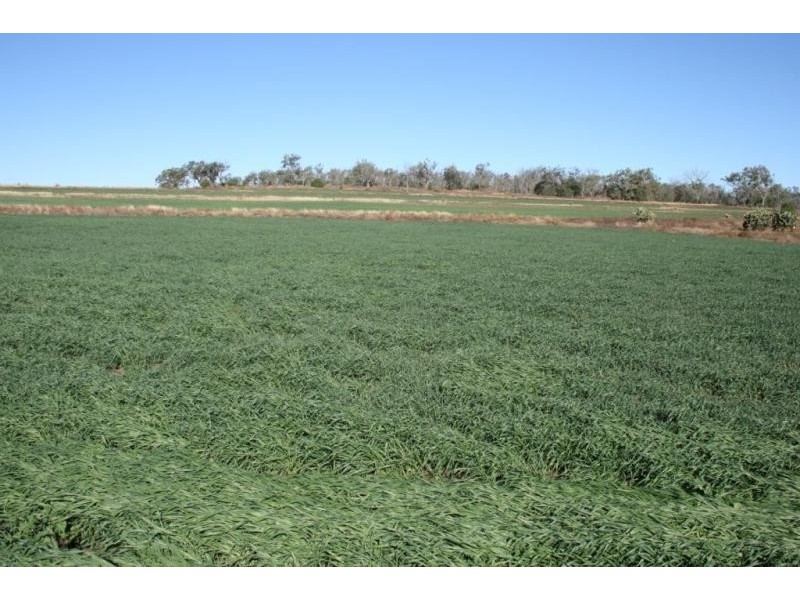 Biddeston QLD 4401