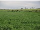 Biddeston QLD 4401