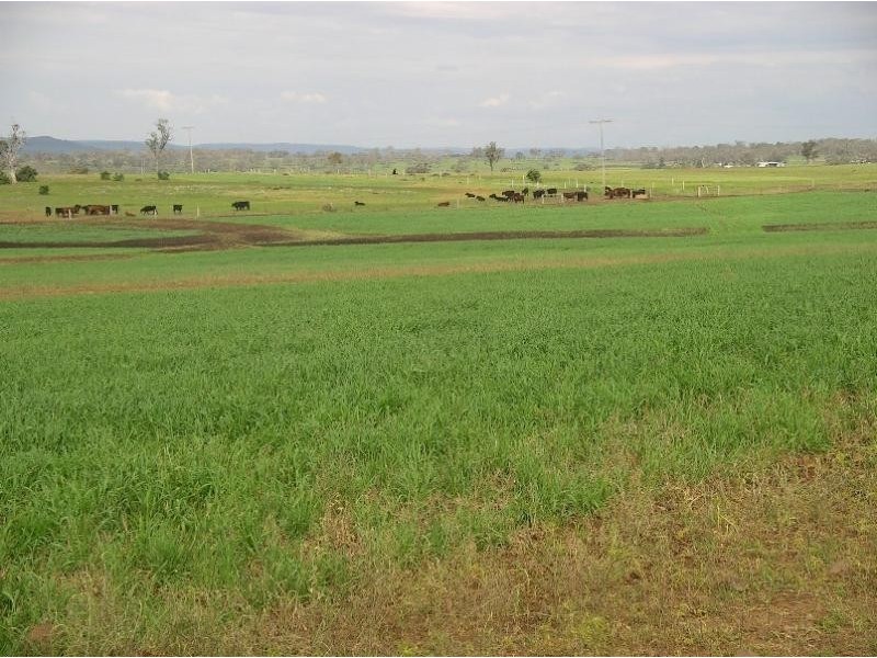 Biddeston QLD 4401