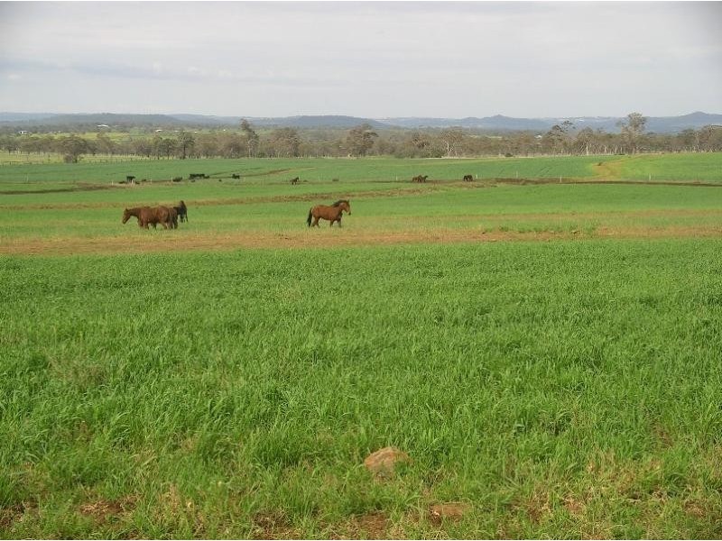 Biddeston QLD 4401