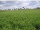 Biddeston QLD 4401