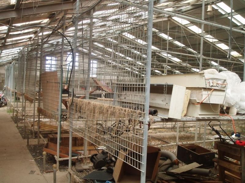 21 Darling Street, Toowoomba QLD 4350