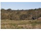 Coalbank QLD 4352