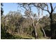 23 Wilga Avenue, Oakey QLD 4401