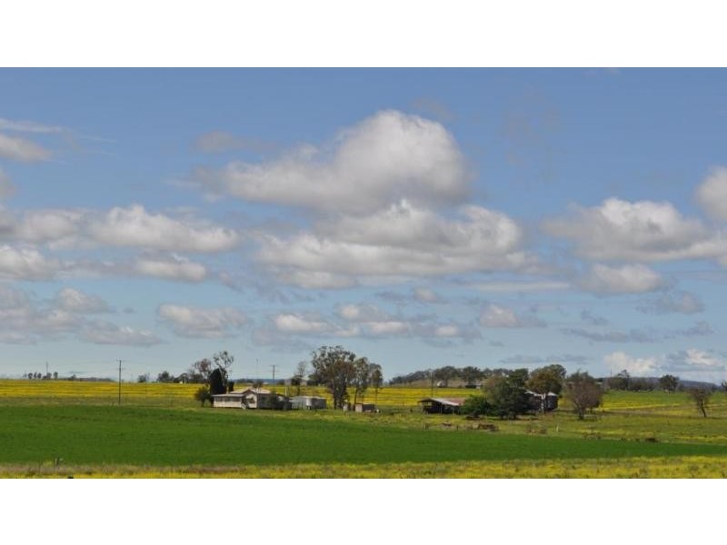 Wyreema QLD 4352