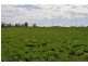 Wyreema QLD 4352