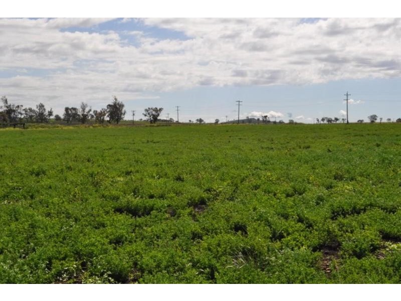 Wyreema QLD 4352