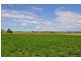 Wyreema QLD 4352
