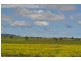 Wyreema QLD 4352