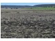 Nobby QLD 4360