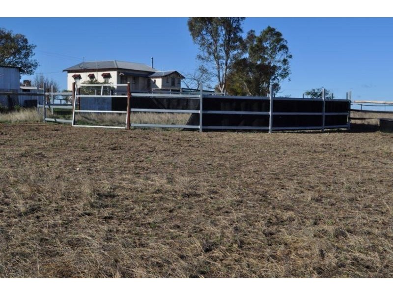 Nobby QLD 4360