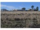 Nobby QLD 4360