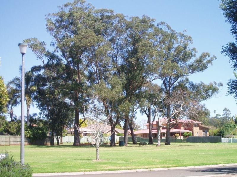 15 Wiangaree Drive, Rangeville QLD 4350