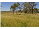 Kulpi QLD 4352