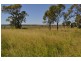 Kulpi QLD 4352