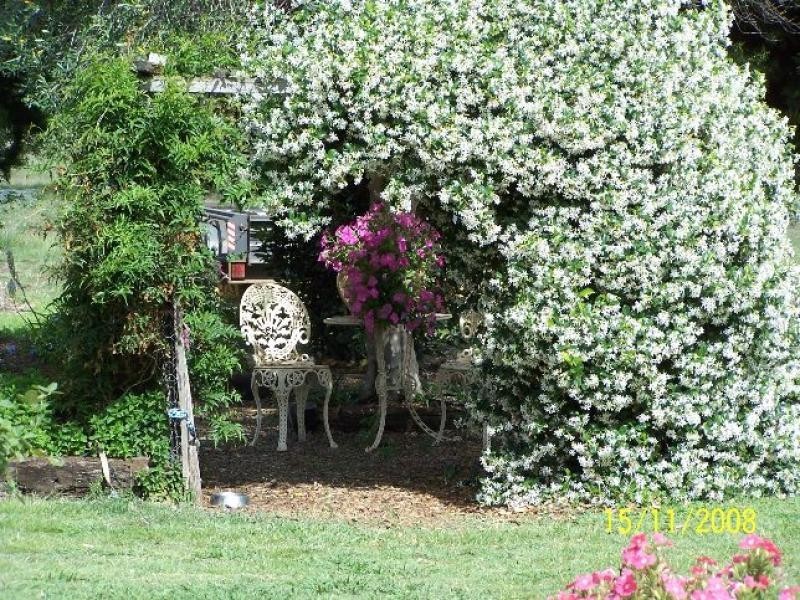 319 Wyreema Cambooya Road, Wyreema QLD 4352