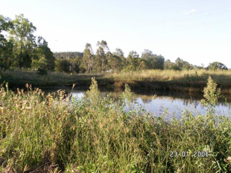 10 VISTA COURT, Withcott QLD 4352