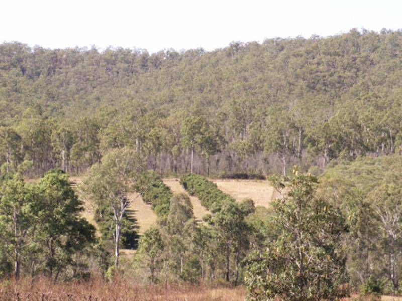 776 SANDY CREEK, Grantham QLD 4347